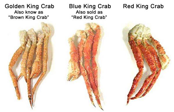 Red, blue, & golden king crab clusters