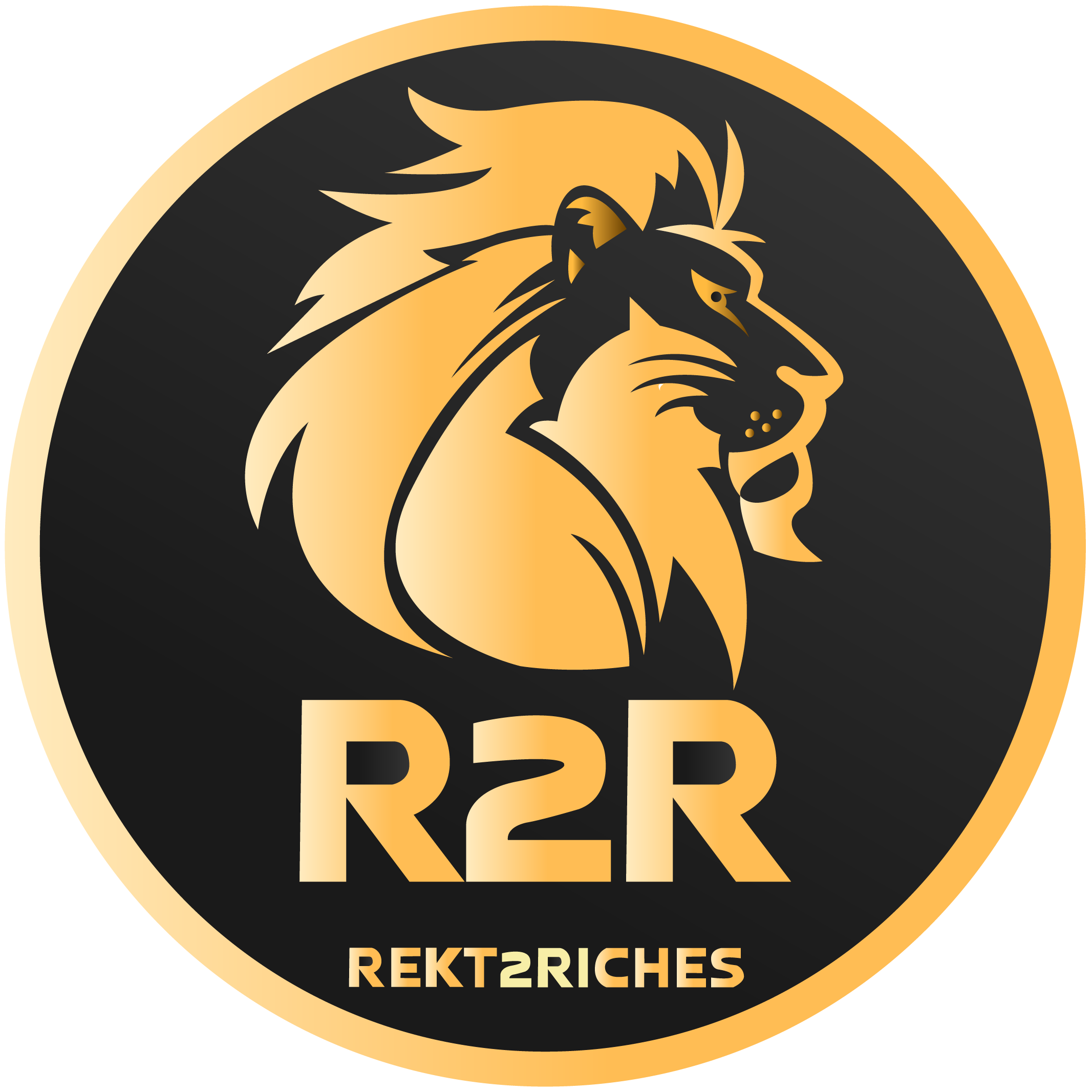 Coin Rekt2Riches A Journey from Rags to Riches
